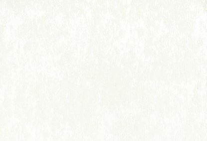 Picture of ARDENNE-PEARL