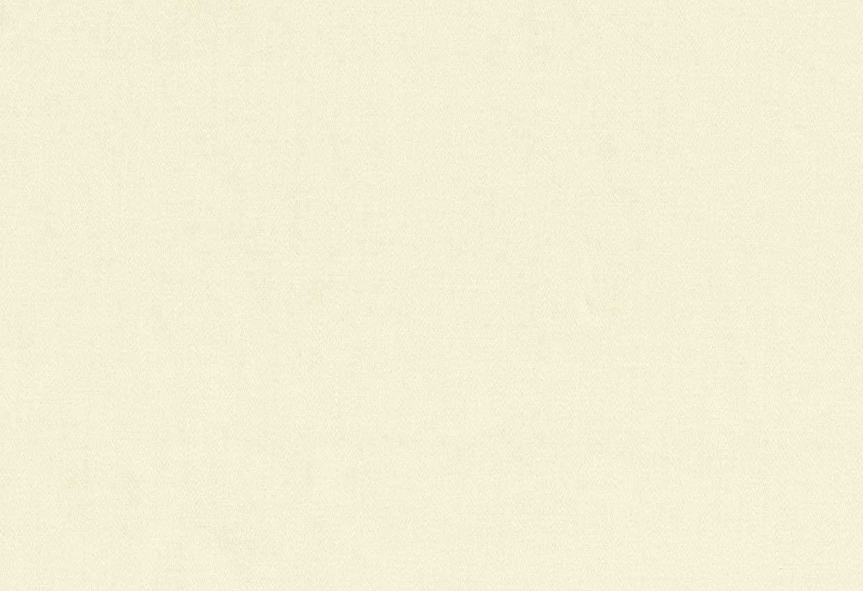 Picture of turks-bisque