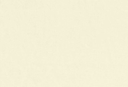 Picture of TURKS-BISQUE