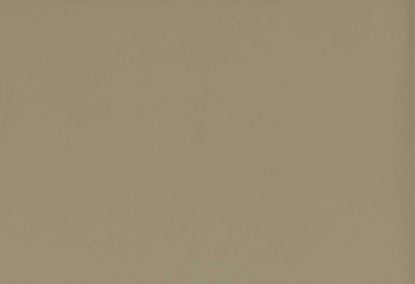 Picture of TURKS-FOREST