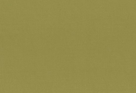 Picture of TURKS-GRASS