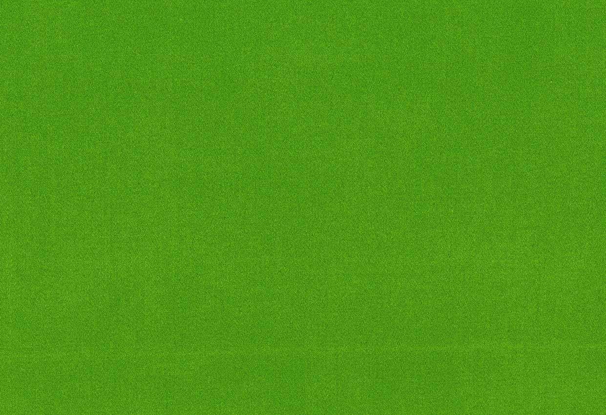 Picture of TURKS-KIWI