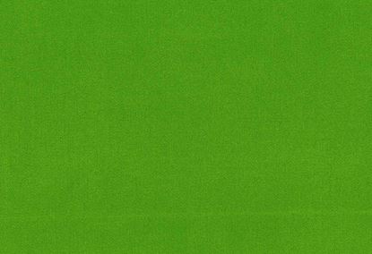 Picture of TURKS-KIWI