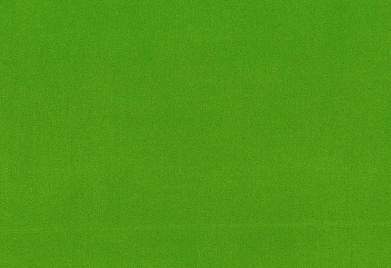 Picture of TURKS-KIWI