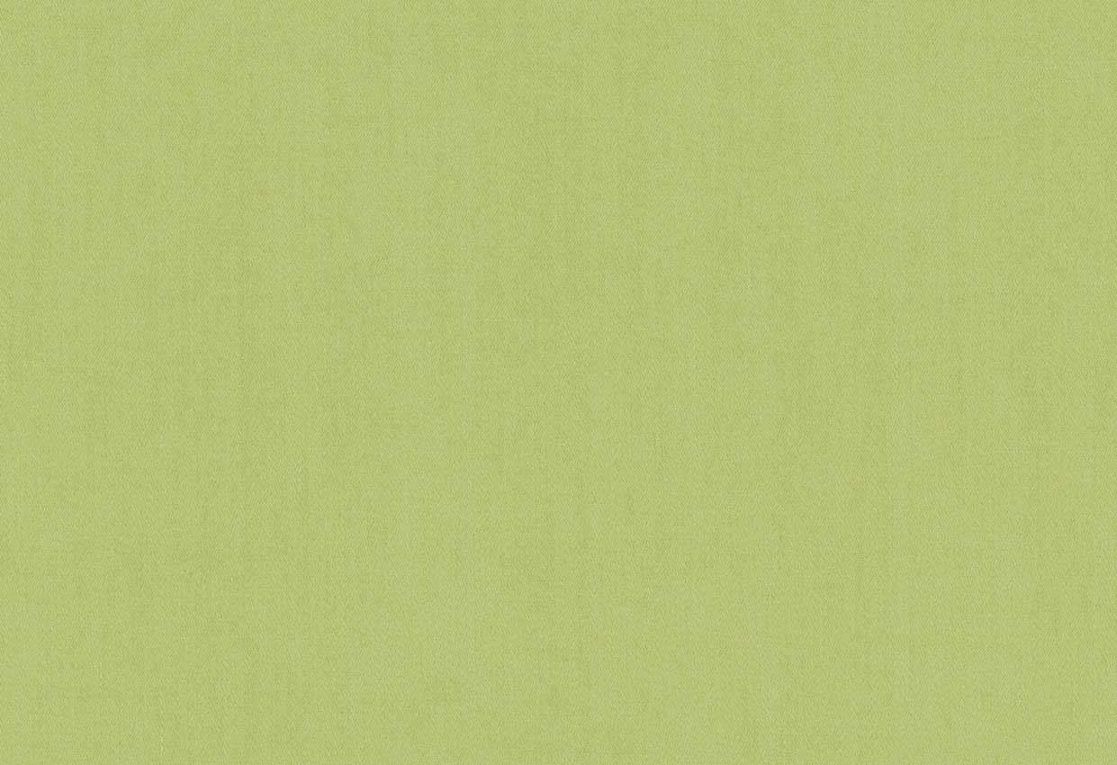 Picture of TURKS-MOSS