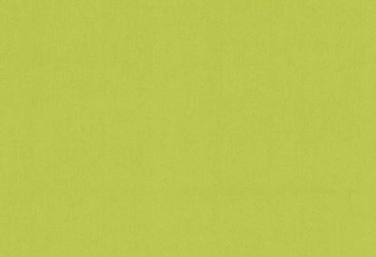 Picture of TURKS-PINE