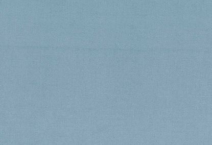 Picture of TURKS-WEDGEWOOD