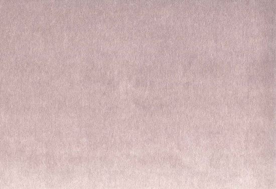 Picture of MONTREAL-ORCHID