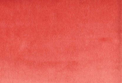 Picture of MONTREAL-PINK SANGARIA