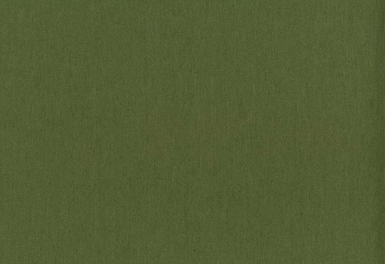 Picture of CAYMAN-OLIVE