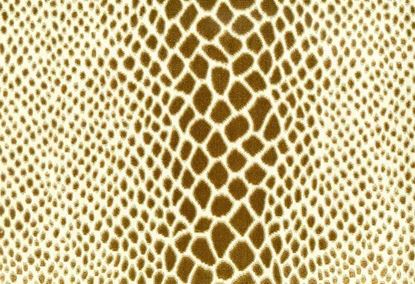 Picture of STAPLEFORD-CAFE