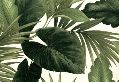 Picture of MONTGOMERY-HUNTER