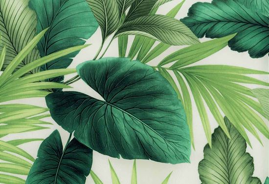 Picture of MONTGOMERY-MINT