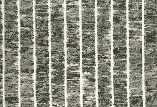 Picture of AMIR-SILVER