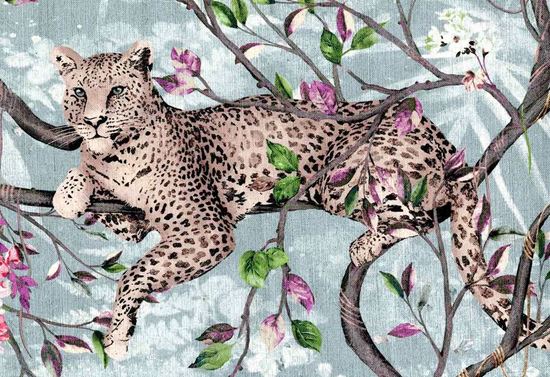 Picture of FRASER-CLOUD