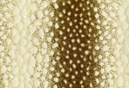 Picture of CHIMAY-WALNUT