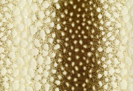 Picture of CHIMAY-WALNUT