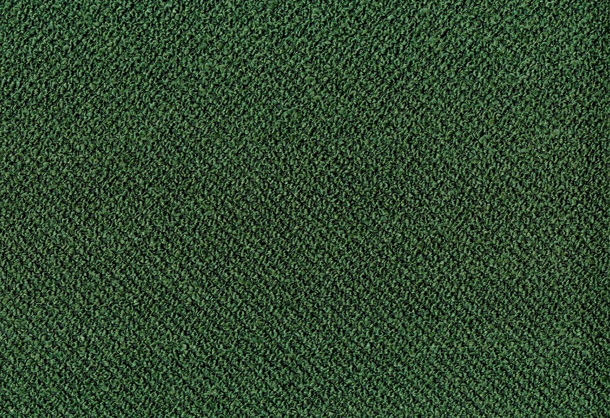 Picture of ALPACA-FOREST