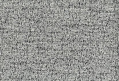 Picture of BEZNER-ZEBRA