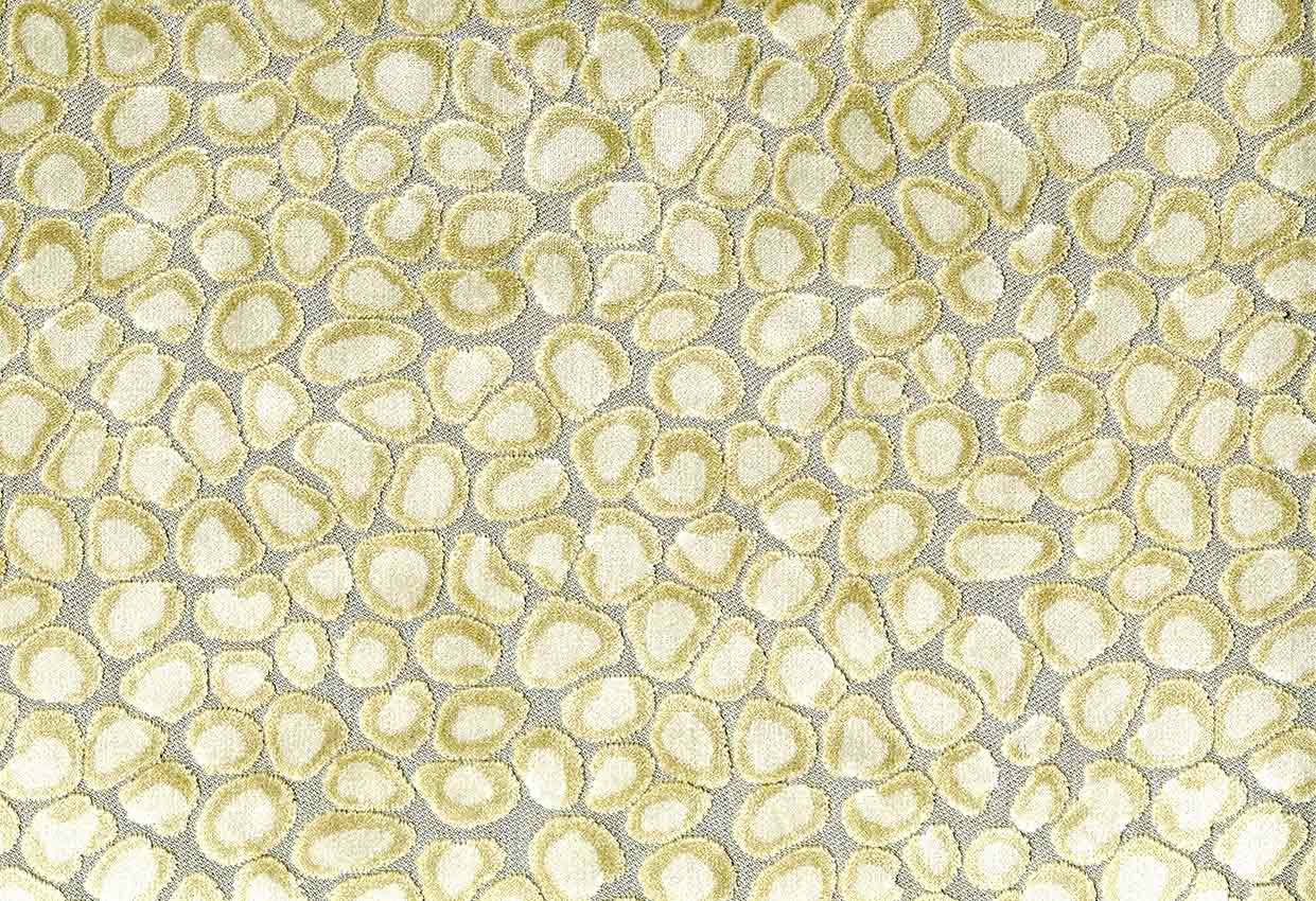 Picture of CLIO-CHAMPAGNE