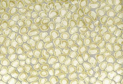 Picture of CLIO-CHAMPAGNE