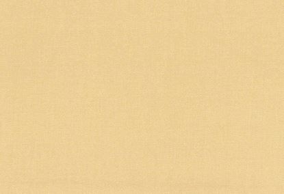 Picture of TURKS-NUGGET