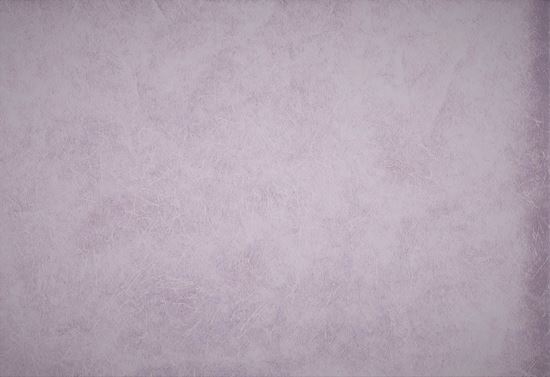 Picture of ENTRAN WC-NAVY