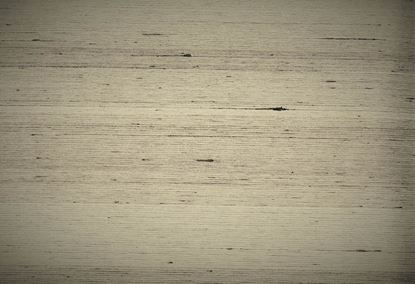 Picture of FRIORY WC-GREY