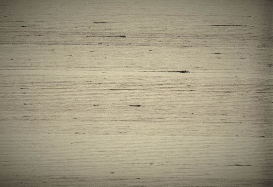 Picture of FRIORY WC-GREY