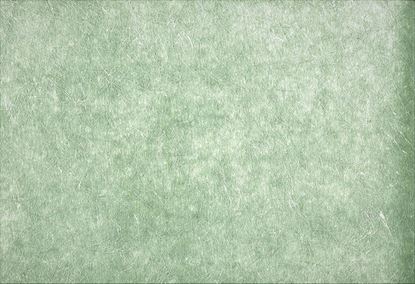 Picture of ENTRAN WC-SAGE