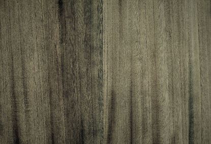 Picture of EDSTER WC-GREY