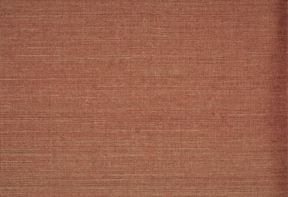 Picture of WARNER WC-RUST