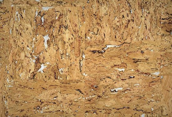 Picture of TRAIL WC-TOFFEE