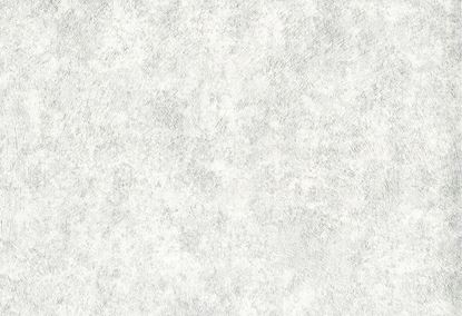 Picture of DEWEY WC-FOG