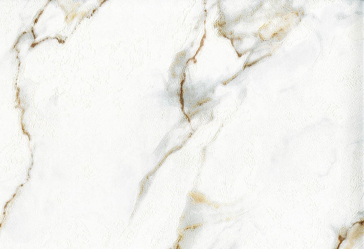 Picture of SONET WC-DOVE