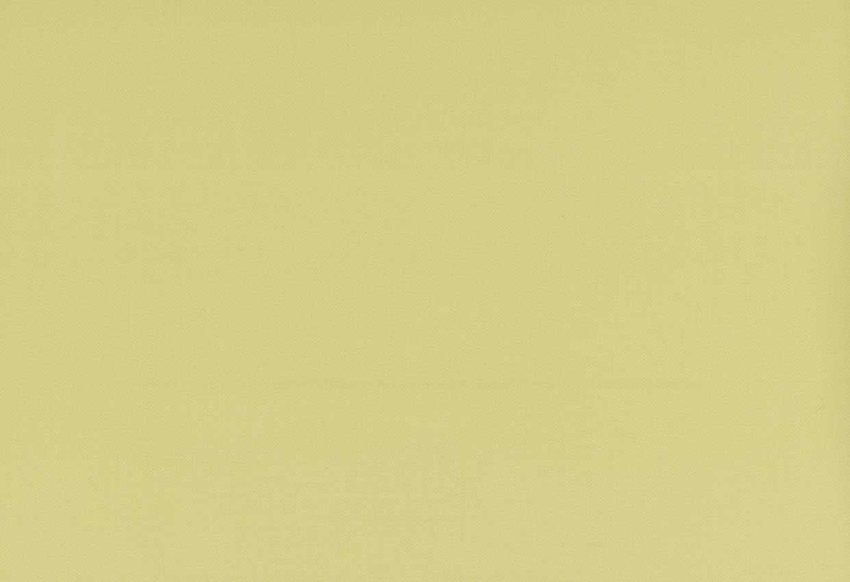 Picture of TURKS-MUSTARD