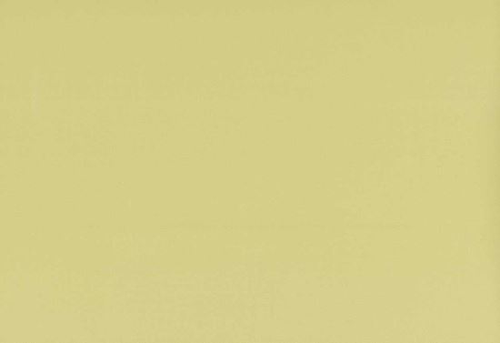 Picture of TURKS-MUSTARD