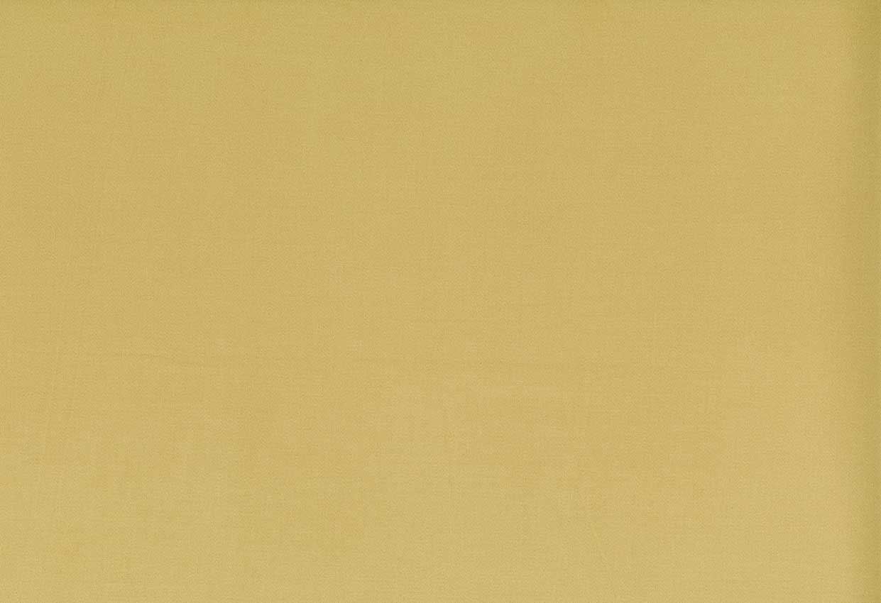 Picture of TURKS-TOAST