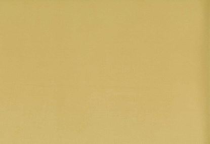 Picture of TURKS-TOAST