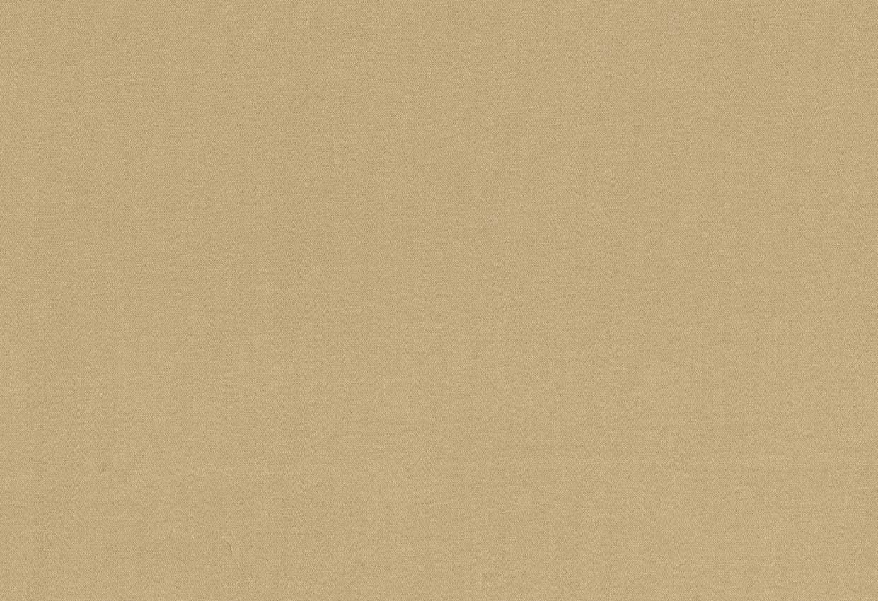 Picture of TURKS-MINK