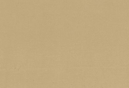 Picture of TURKS-MINK