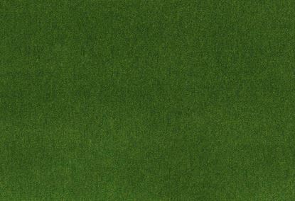 Picture of SYOSSET-KELP