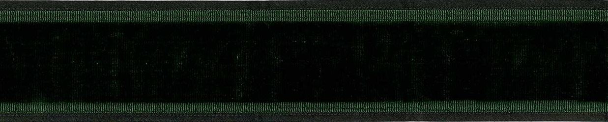 Picture of HOLLY VELVET TAPE-EMERALD