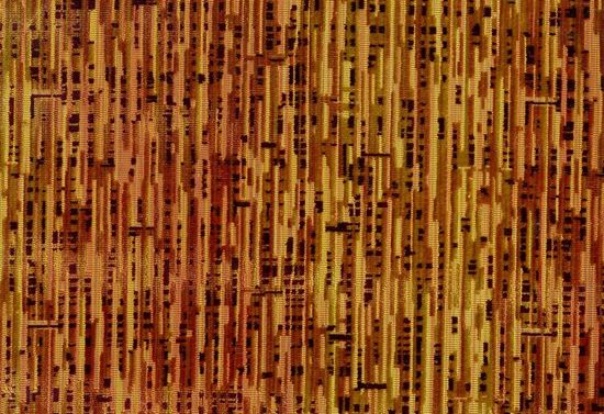 Picture of WARSAW-SPICE