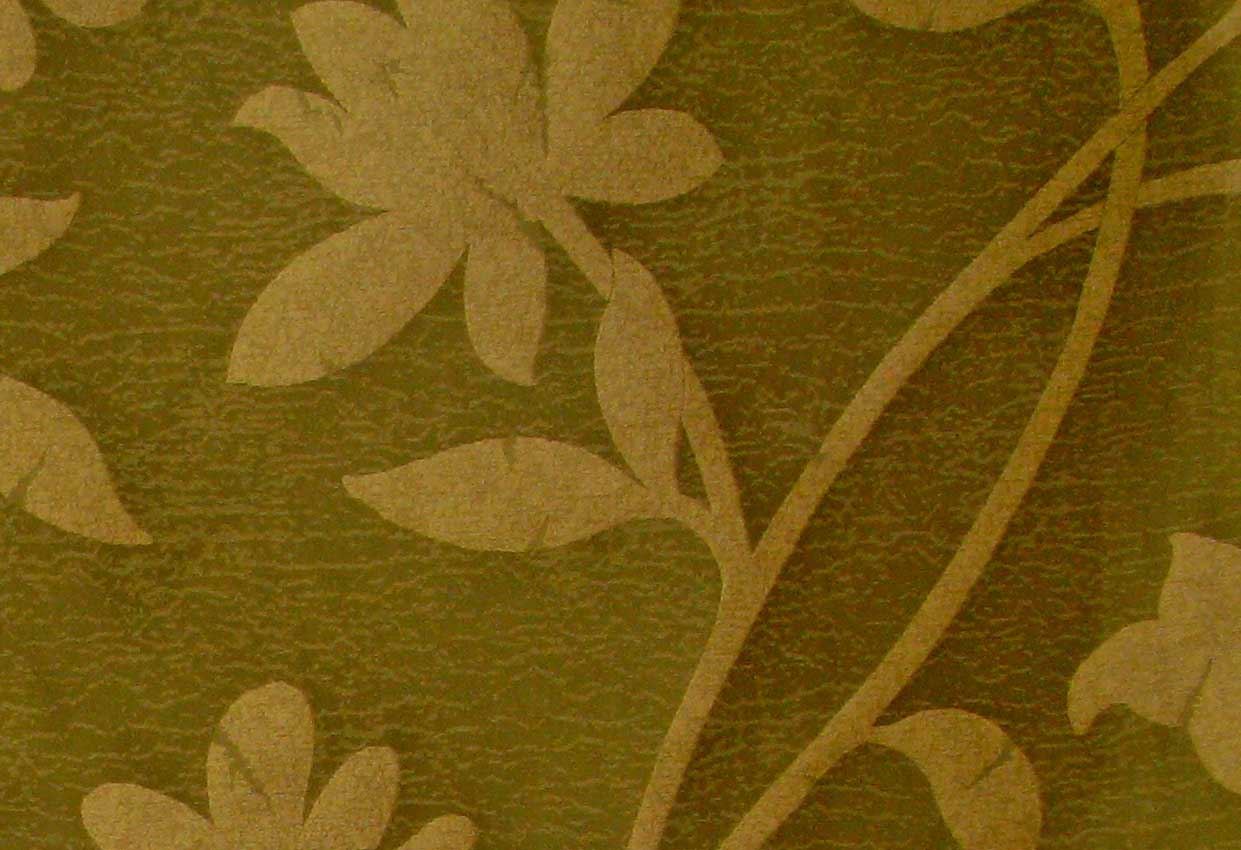 Picture of ANNA-CELERY