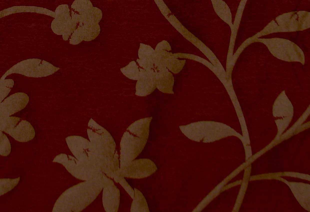 Picture of ANNA-WINE