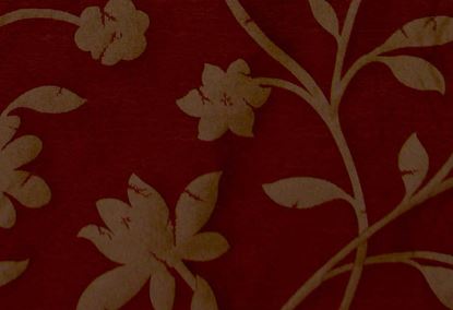 Picture of ANNA-WINE