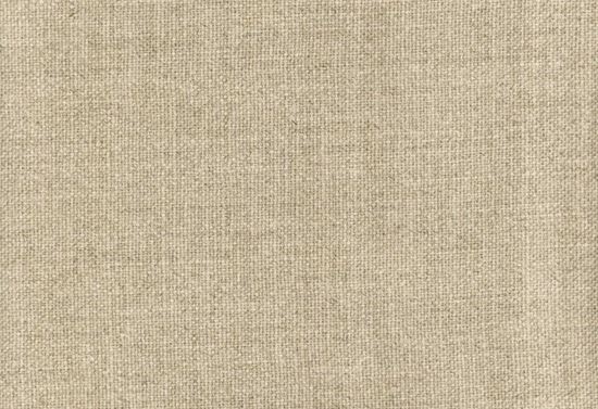 Picture of ARIEL-FLAX