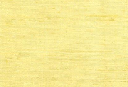 Picture of BARBADOS-102