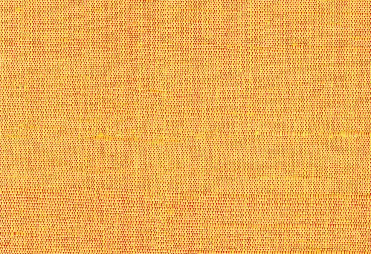 Picture of BARBADOS-111